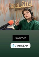 Canal Sud : l'Icône, s'effondrer pour devenir étoile.