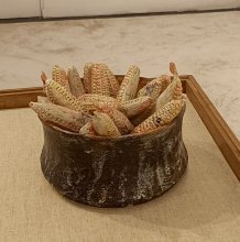 Canal Sud : occuper la nuit du 30 au 5 avril 25