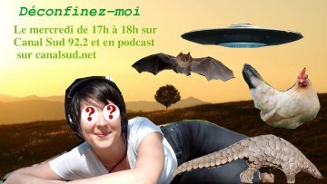 Canal Sud : Déconfinez-moi 2 ! 1 heure de good vibes et de bonnes nouvelles !