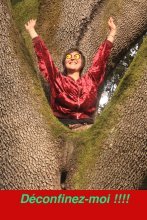 Canal Sud : Déconfinez-moi 3 - 1 heure de musique feel good et de bonnes nouvelles !!