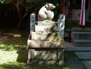 Canal Sud : occupons la nuit : du 8 février au 14